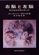 右脳と左脳