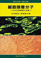 細胞接着分子（現代化学増刊29)