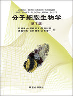 分子細胞生物学　第7版