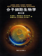 分子細胞生物学　第６版